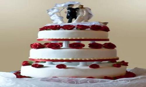 Orange Celebrations in Bhavani Nagar, Tirupati - 517501