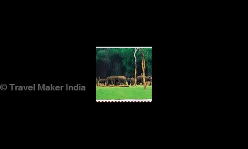 Travel Maker India in Laxmi Nagar, Delhi - 110092