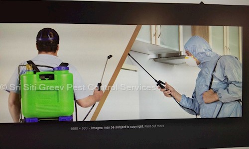 Sri Siti Greev Pest Control Services in Amaravathi Road, Guntur - 522002