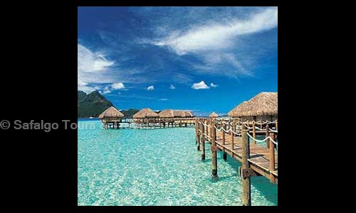 Safalgo Tours & Travels in Wazirpur, Delhi - 110034