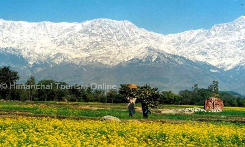 Himanchal Tourism Online in University Road, Rajkot - 360005