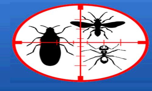 PCCS Pest Control & Cleaning Services in Konthanari, Calicut - 673015