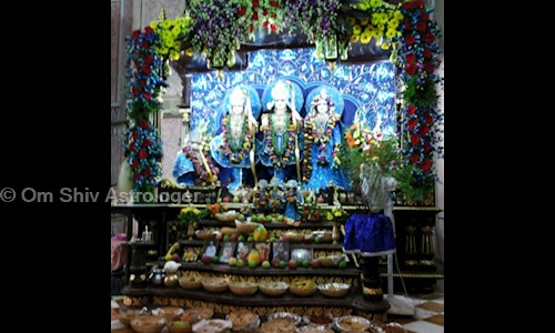 Om Shiv Astrologer in Chandlodia, Ahmedabad - 382481