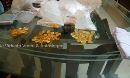 Vidushi Vastu & Astrologer in Mayur Vihar Phase 1, Delhi - 110091