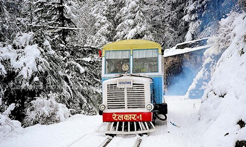 Cox & Fox Tours & Travels in Poojapura, Trivandrum - 695012