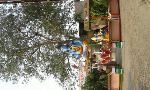 Naman Travels in Belanganj, Agra - 282006