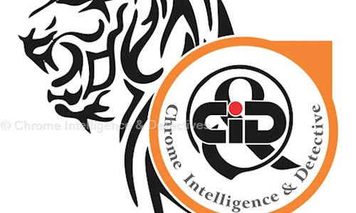 Chrome Intelligence & Detectives in Ballygunge, Kolkata - 700029