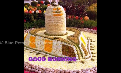 Blue Petals Event Managers in Thilak Road, Tirupati - 517501