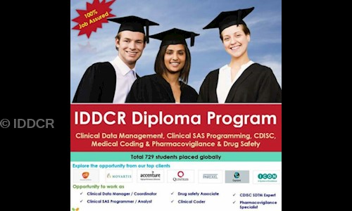 IDDCR in Jubilee Hills, Hyderabad - 500033