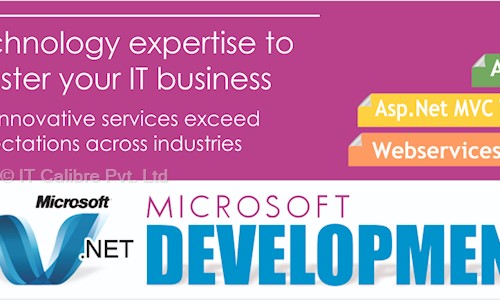 IT Calibre Pvt. Ltd. in Subhanpura, Vadodara - 390023