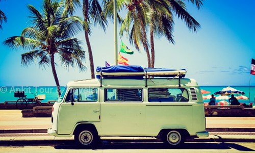 Ankit Tour & Travels in Najafgarh, Delhi - 110043