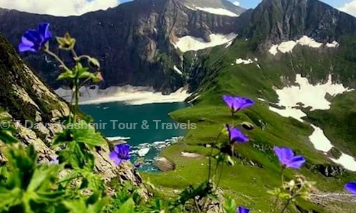 7 Days Kashmir Tour & Travels in Hazratbal, Srinagar - 190006