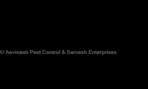 Aavinash Pest Control in Teynampet, Chennai - 600018