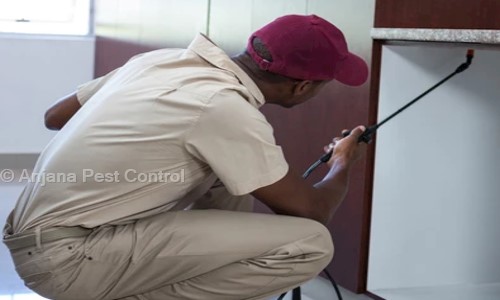 Anjana Pest Control in Valasaravakkam, Chennai - 600086