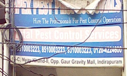 Apex Pest Professionals in Sector 27, Noida - 201301