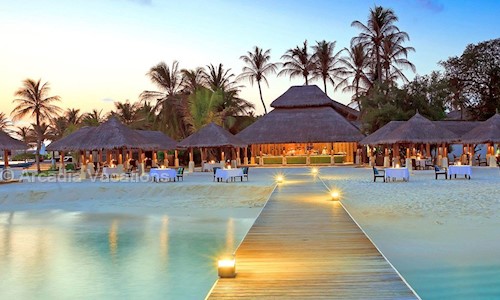 Arcadia Vacations in Manimajra, Chandigarh - 160047
