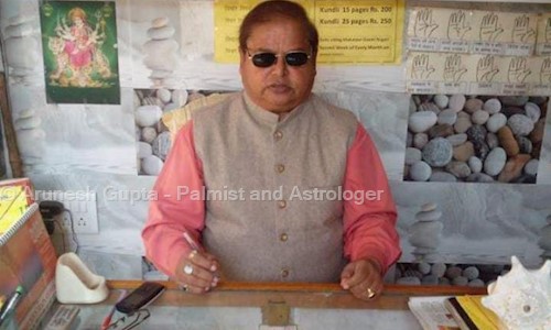 Arunesh Gupta - Palmist and Astrologer in Rakabganj, Agra - 282001