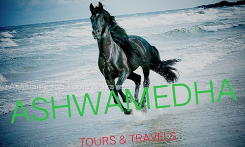Ashwamedha Tours & Travels in Vidyamanya Nagar, Bangalore - 560091