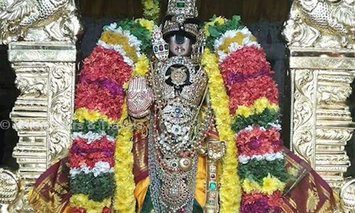 Balaji Tours & Travels in T. Nagar, Chennai - 600017