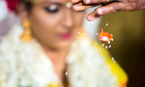 Banana Photography in New Perungalathur, Chennai - 600063