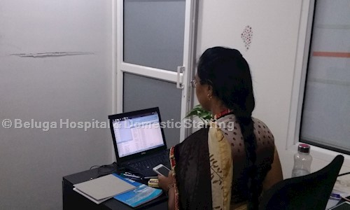 Beluga Hospital & Domestic Staffing