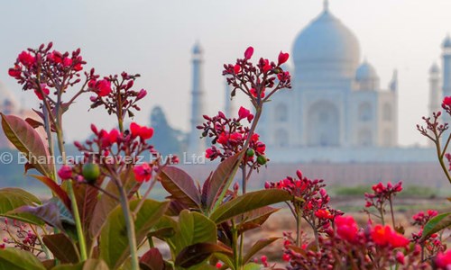 Bhandari Travelz Pvt. Ltd. in Nand Nagri, Delhi - 110093