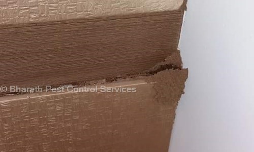 Bharath Pest Control Services in BTM Layout, Bangalore - 560029
