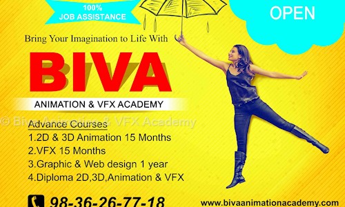 Biva Animation & VFX Academy in Jadavpur, Kolkata - 700032