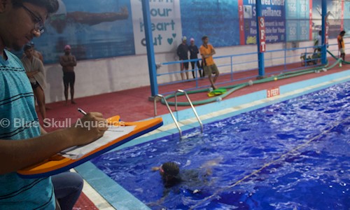 Blue Skull Aquatics in Kalamboli, Mumbai - 500089