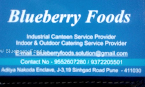 Blueberry Foods in Anand Nagar, Pune - 411030