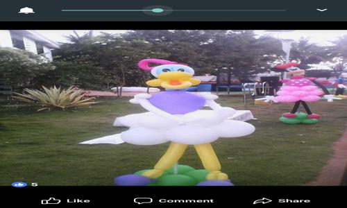 bonixa event management in Shaikpet, Hyderabad - 500008