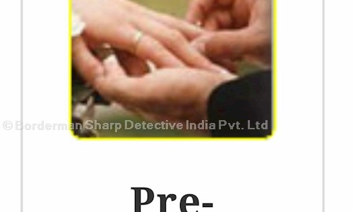 Borderman Detectives Pvt. Ltd. in Subhash Nagar, Nagpur - 440022
