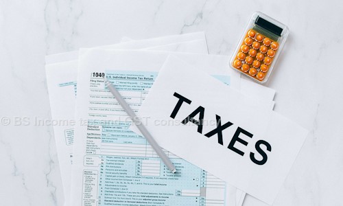 BS Income tax and GST consultancy in Nizampet, Hyderabad - 500090