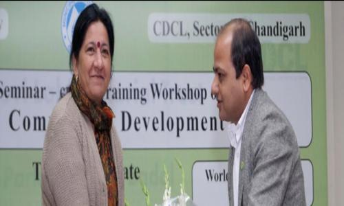 CDCL in Sector 28, Chandigarh - 160002