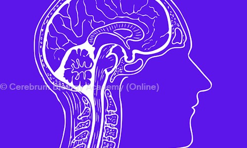 Cerebrum Biology Academy (Online) in Hauz Khas, Delhi - 110016