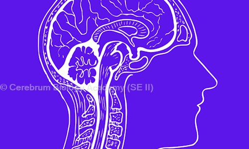 Cerebrum Biology Academy (SE II)