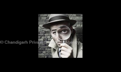 Chandigarh Private Detective Agency in Sector 17C, Chandigarh - 140107