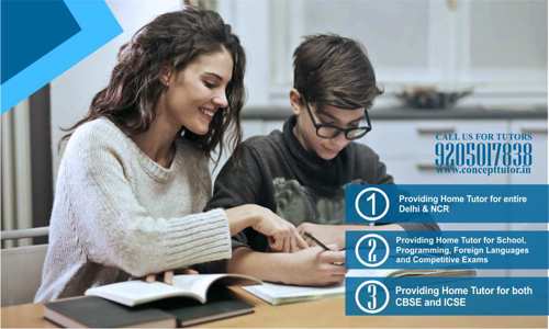 CONCEPT TUTOR in Pandav Nagar, Delhi - 110092