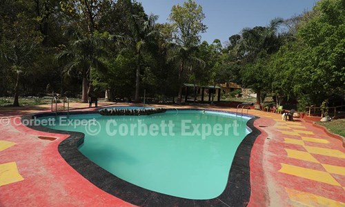 Corbett Expert in Tilak Nagar, Delhi - 110018