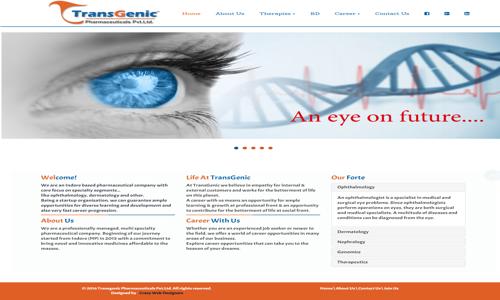 Crazy Web Designers in Scheme No.114, Indore - 452010