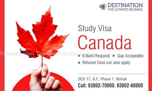 Destination The Ultimate Beginning in Sector 55, Chandigarh - 160055