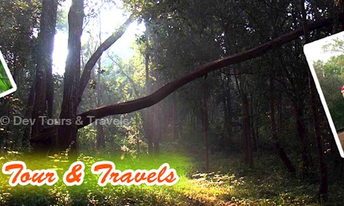 Dev Tours & Travels in Bhanjpur, Baripada - 757002