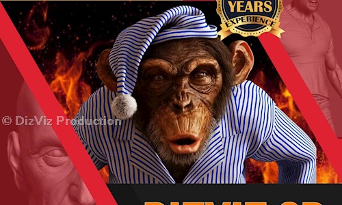 DizViz Production in Pratap Nagar, Nagpur - 440022