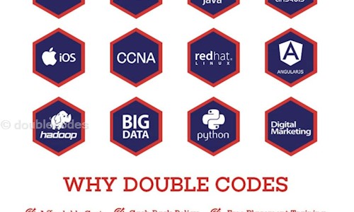 doublecodes in Ashok Nagar, Chennai - 600083