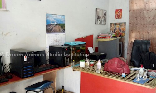 Dream Animax Studio Institution in Naraina, Delhi - 110028