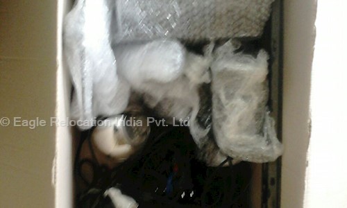 Eagle Relocation India Pvt. Ltd. in Andheri East, Mumbai - 786171