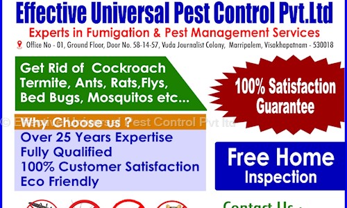 Effective Universal Pest Control Pvt ltd in Marripalem, Visakhapatnam - 530018