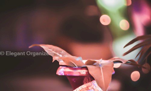 Elegant Organizers in Salt Lake City, Kolkata - 700106