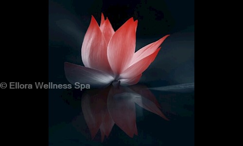 Ellora Wellness Spa in JP Nagar, Bangalore - 560078