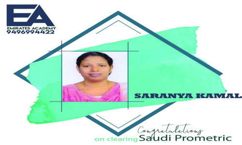 EMIRATES ACADEMY for NURSES in Pathanamthitta Road, Pathanamthitta - 689645